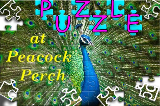 Puzzle at Peacock Perch, an ARCHway Institute event Puzzle at Peacock Perch, an ARCHway Institute event