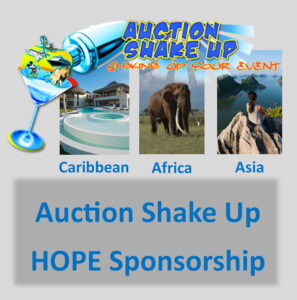 Auction Shake-Up