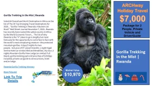 Gorilla Trekking in the Mist, Rwanda