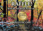 Raffle! Purchase a raffle ticket today for your chance to win "Kaleidoscope", created and donated by renowned Artist, Howard Spielman. This is a beautiful archival print on canvas that measures 40 x 30 inches and is valued at $500. The raffle drawing will be held on March 23, 2025 at noon, and the winner will be notified on that date. Shipping is included with the winning number if shipping is within SW Florida. Otherwise, winner is responsible for shipping costs